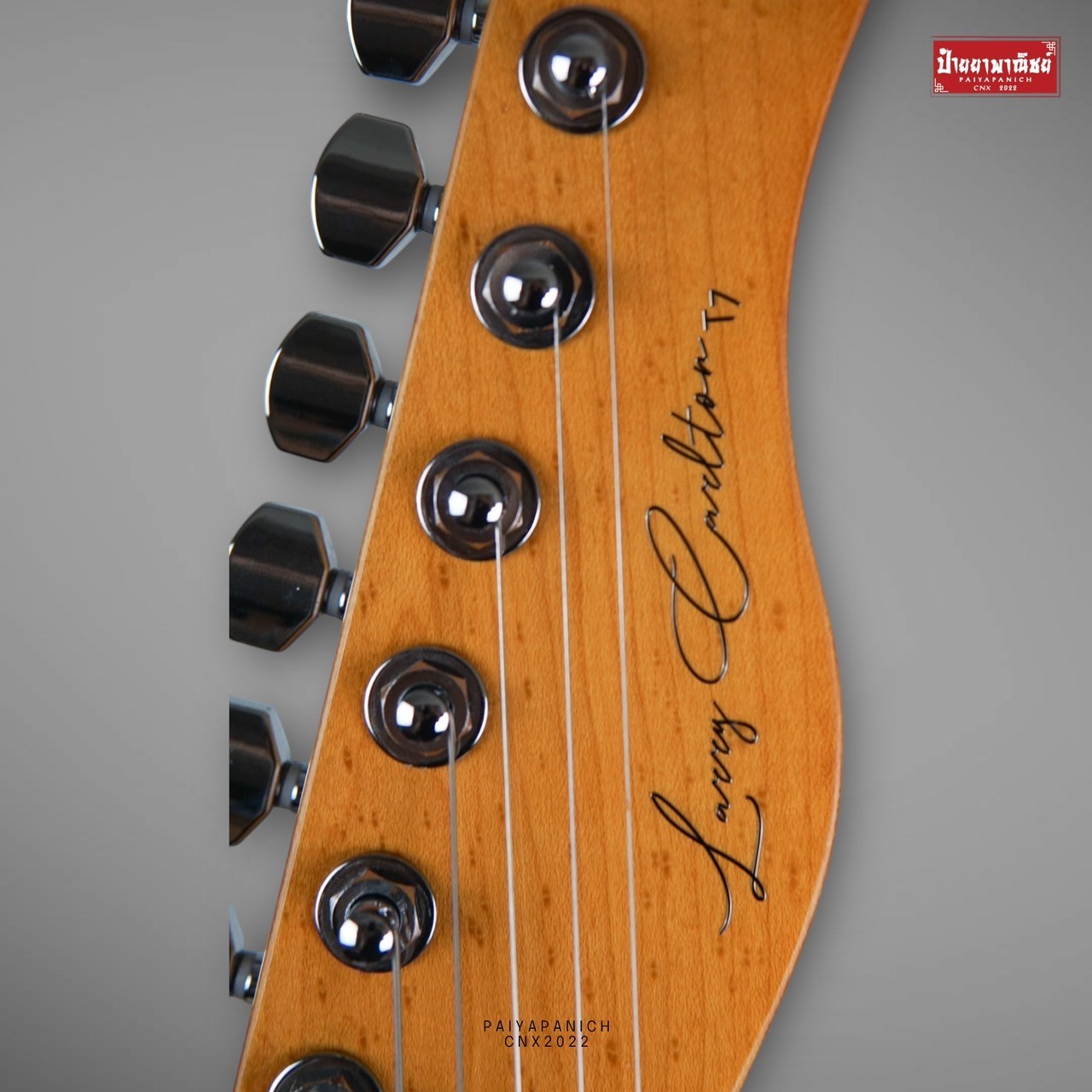(NEW) Sire Larry Carlton T7 TM Rosegold