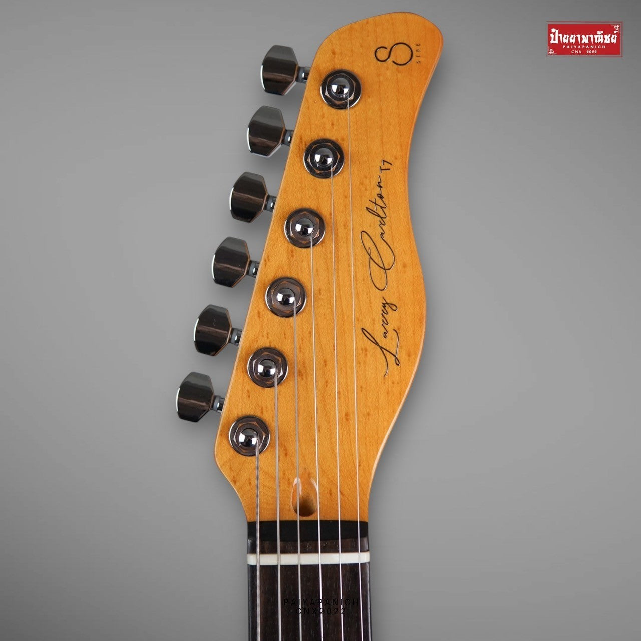 (NEW) Sire Larry Carlton T7 TM Rosegold