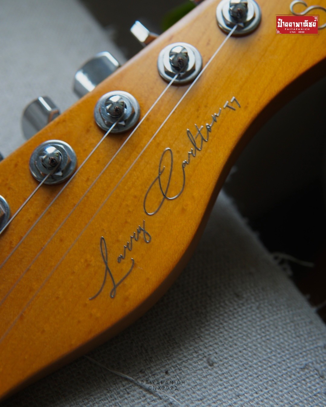 (NEW) Sire Larry Carlton T7 TM Rosegold