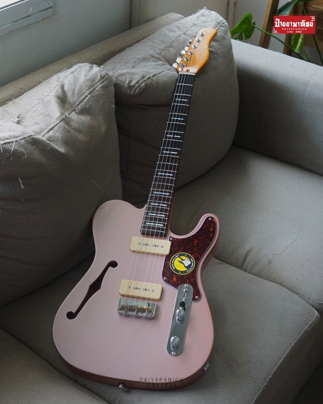 (NEW) Sire Larry Carlton T7 TM Rosegold