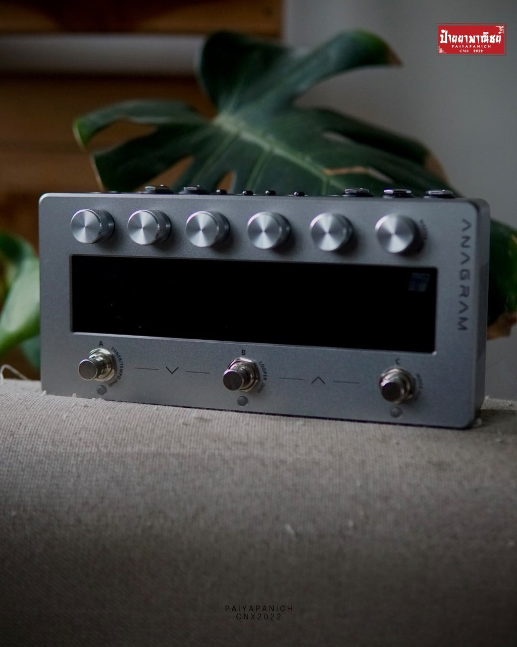 (NEW) Darkglass Anagram