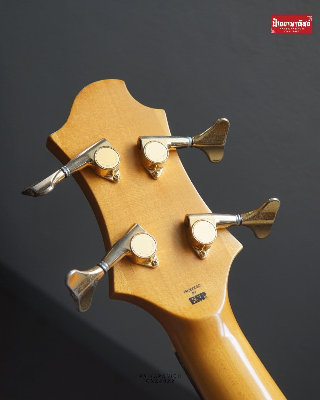 (USED) EDWARDS ET98EL Tetsuya - L'Arc~en~ciel Model