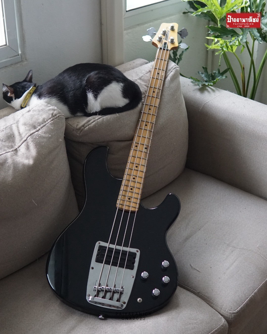 (USED) Ibanez ATK300