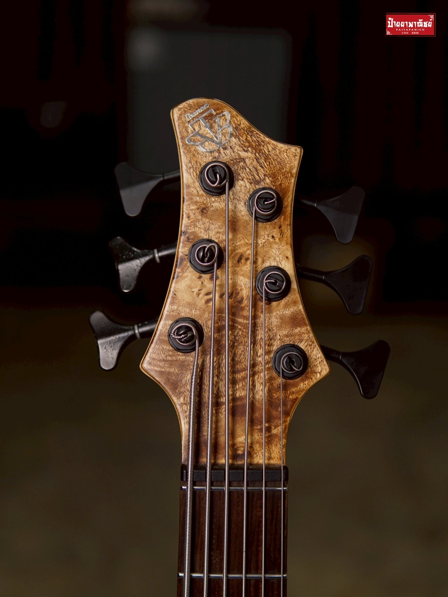 (USED) Ibanez BTB846V Antique Brown Stained Low Gloss