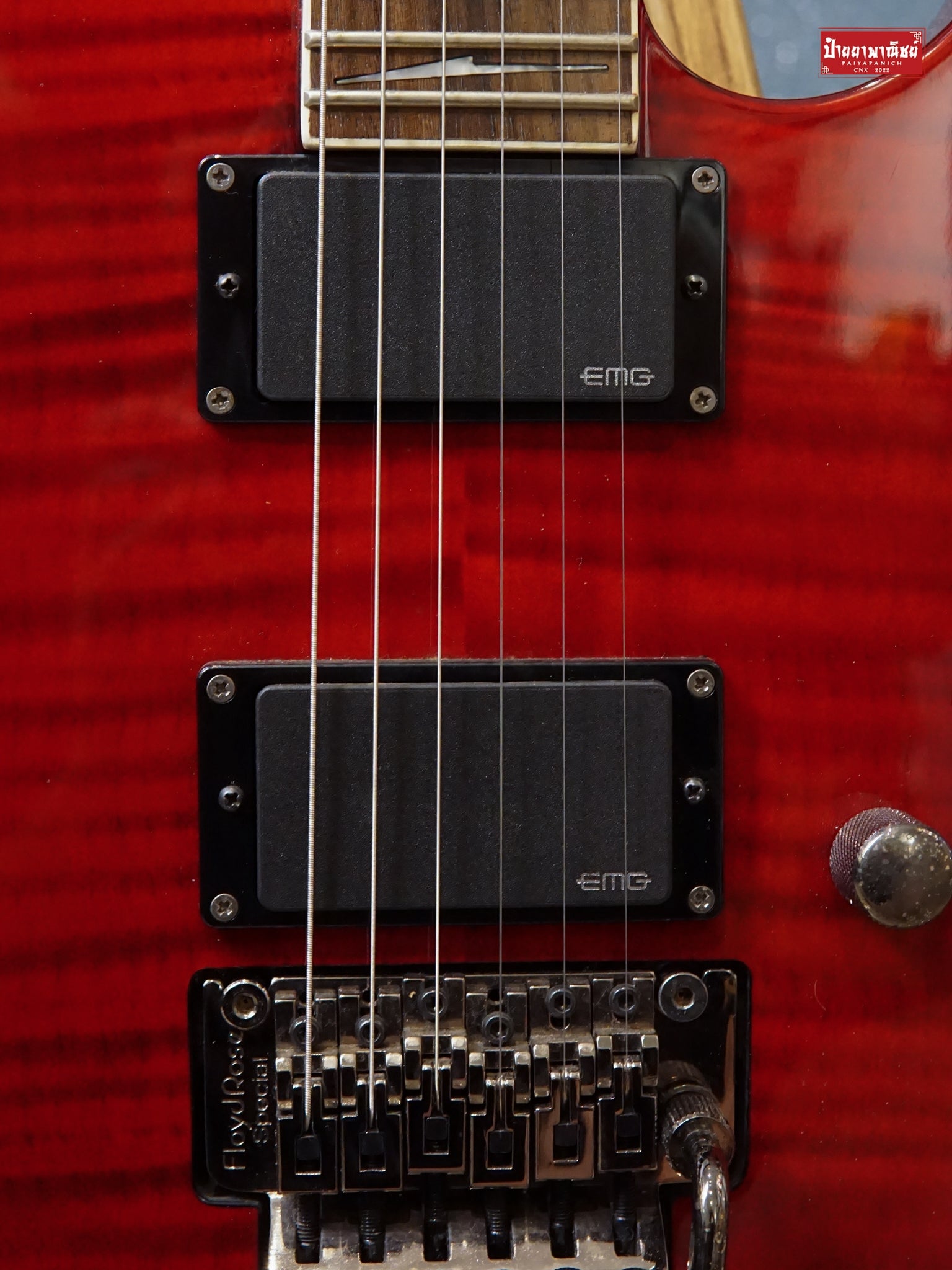 (USED) LTD M-300FM See Thru Red