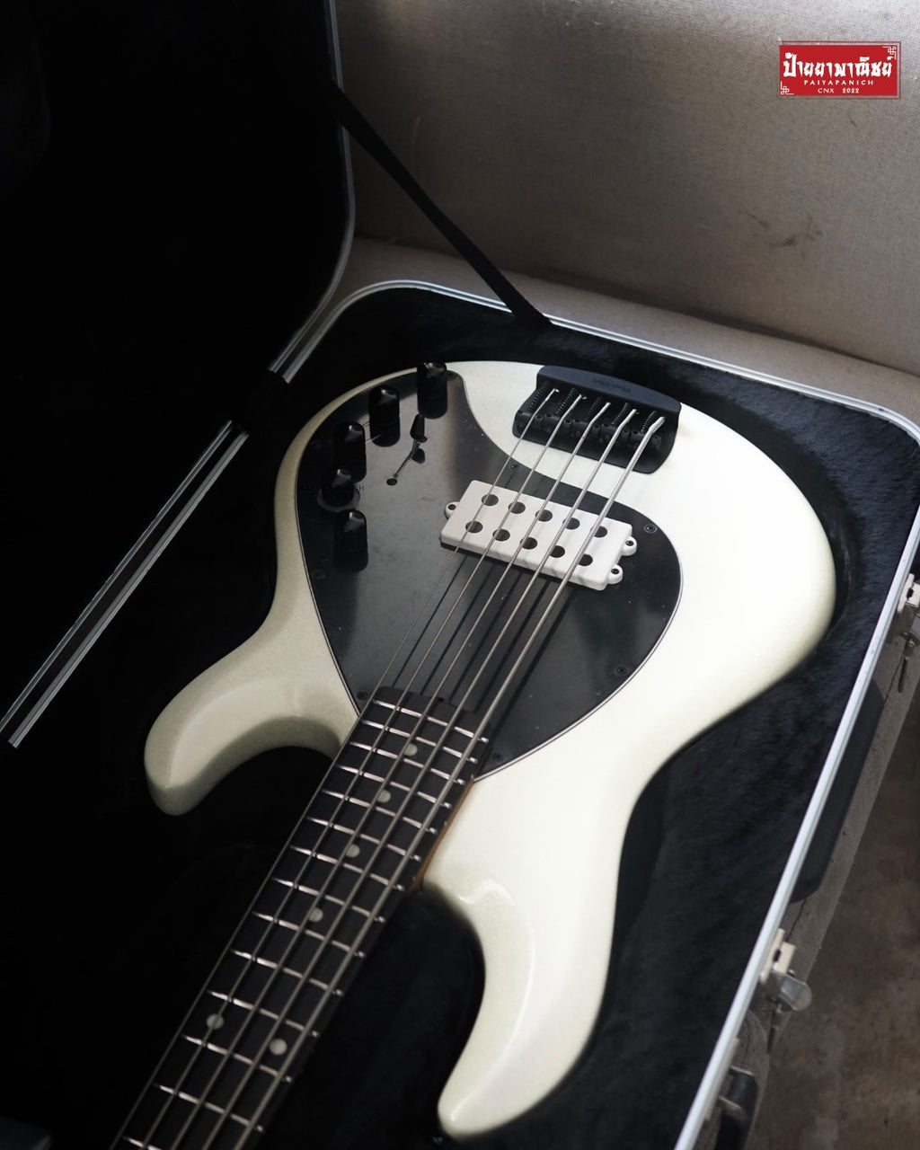 (Used) Ernie Ball Music Man DarkRay 5 White Sparkle Limited No.3/100