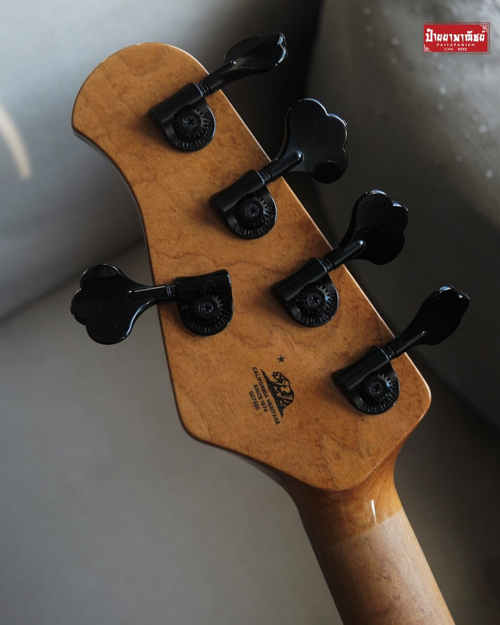 (Used) Ernie Ball Music Man DarkRay 5 White Sparkle Limited No.3/100