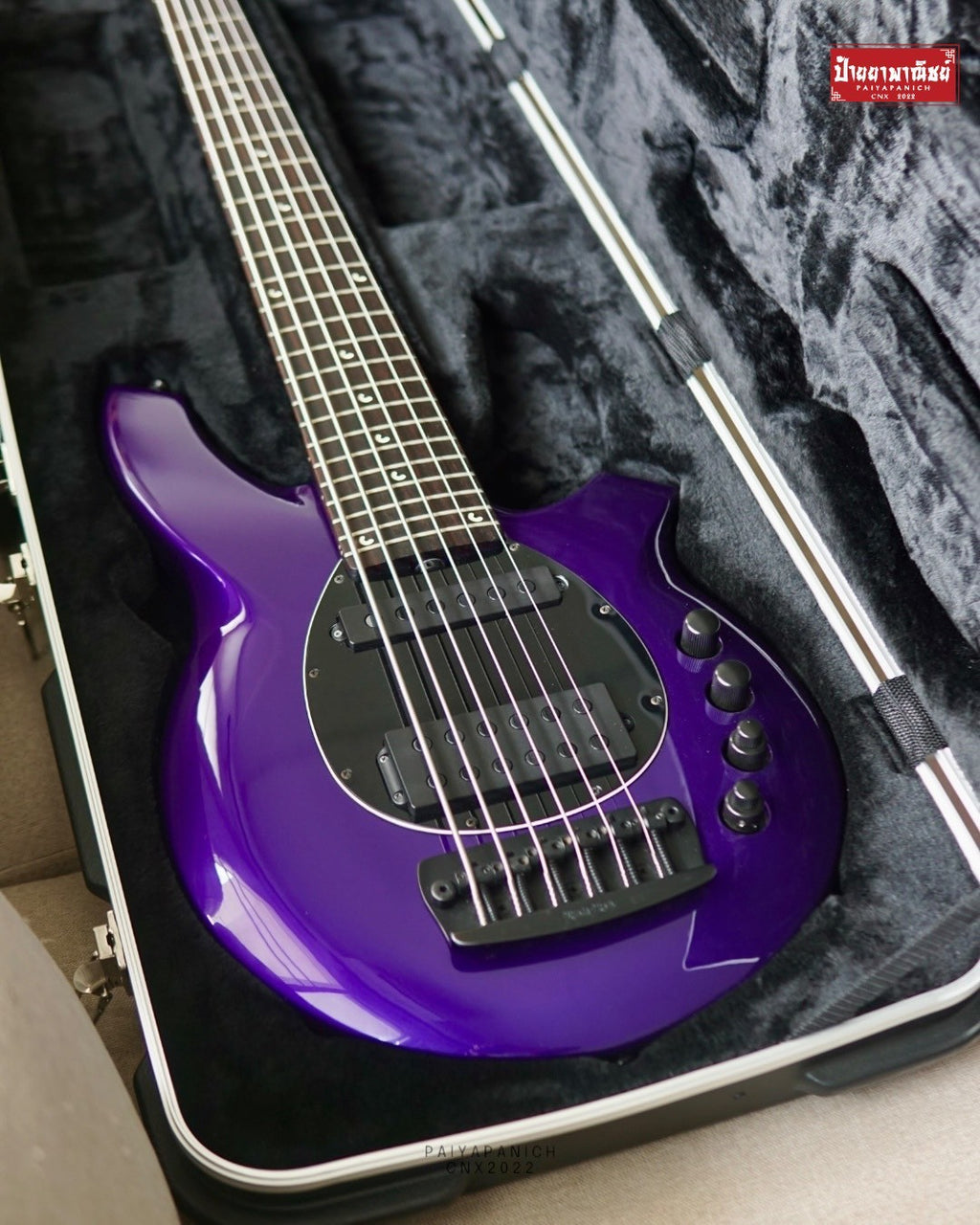 (USED) Ernie Ball Music Man Bongo 5 HS 2019 Fire Mist Purple
