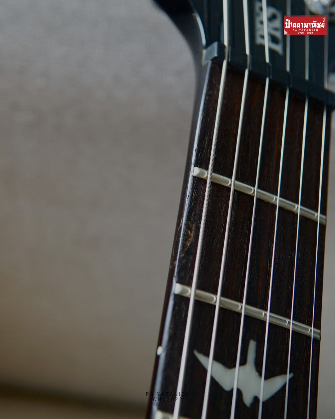 (USED) PRS SE Custom 24 Gray Black