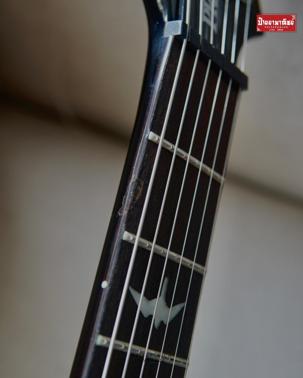 (USED) PRS SE Custom 24 Gray Black