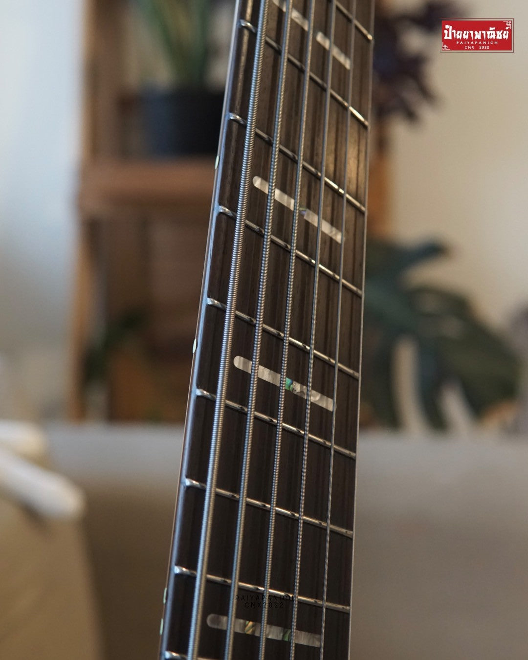 (Used) Sire Marcus Miller M6 6-String Headless Black