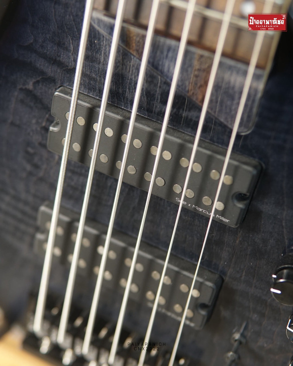 (NEW) Sire Marcus Miller M7 6-String Transparent Black