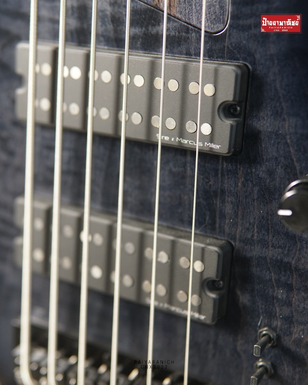 (NEW) Sire Marcus Miller M7 6-String Transparent Black