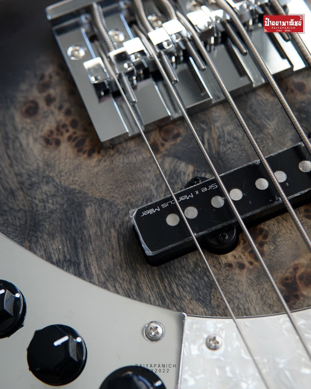 (NEW) Sire Marcus Miller V7 Ash Reissue 5 String Transparent Black Satin