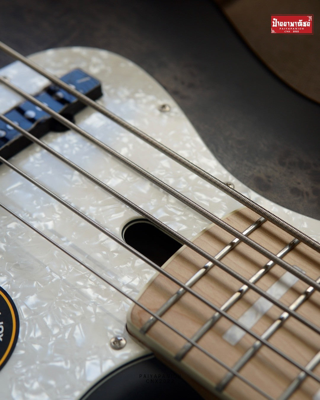 (NEW) Sire Marcus Miller V7 Ash Reissue 5 String Transparent Black Satin