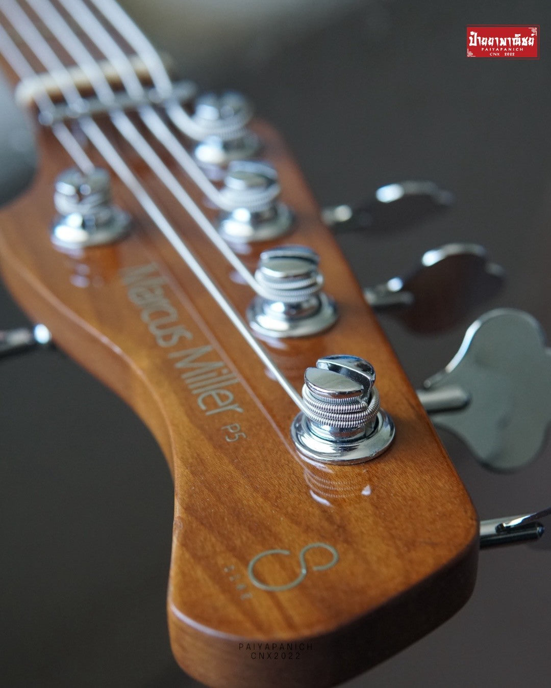 (USED) Sire P5