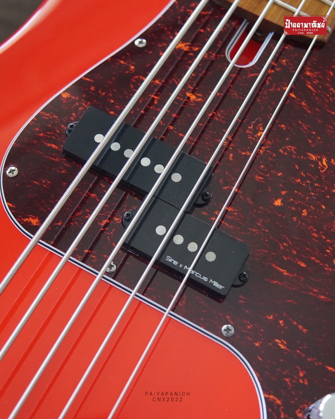 (USED) Sire P5