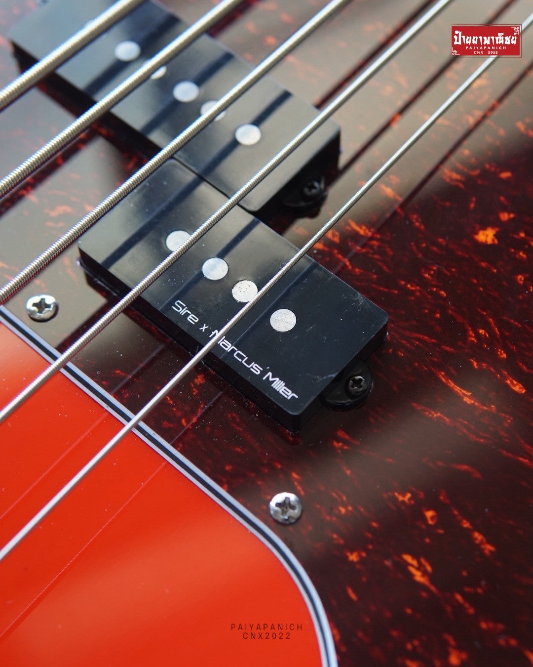 (USED) Sire P5
