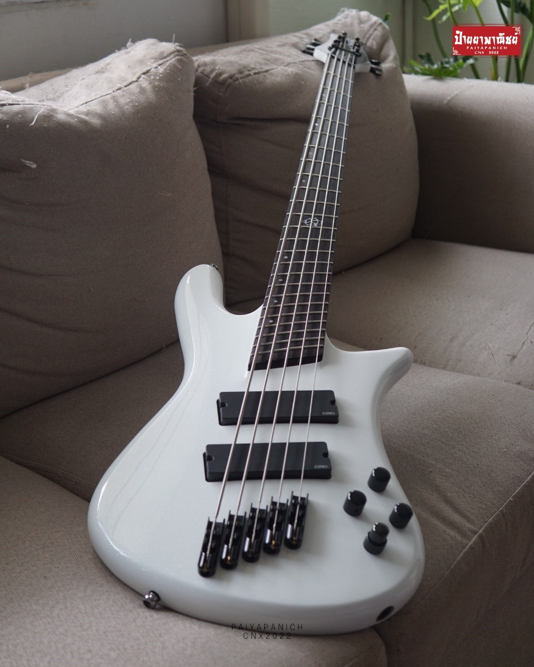 (USED) Spector NS Dimension HP 5 White Sparkle Gloss