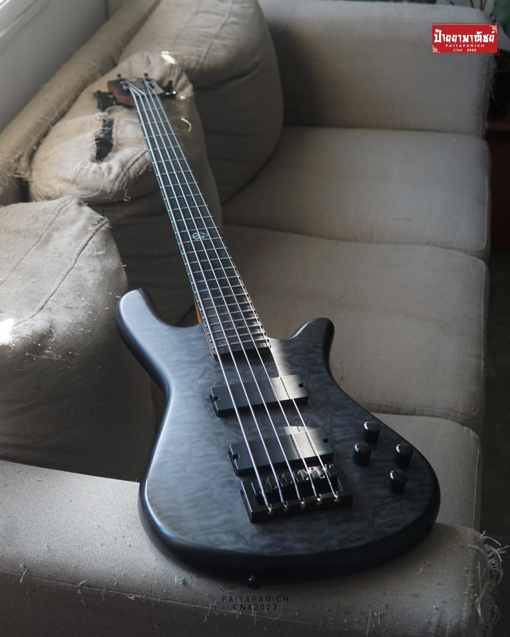 (Used) Spector NS Pulse ll 5 - Black Stain Matte