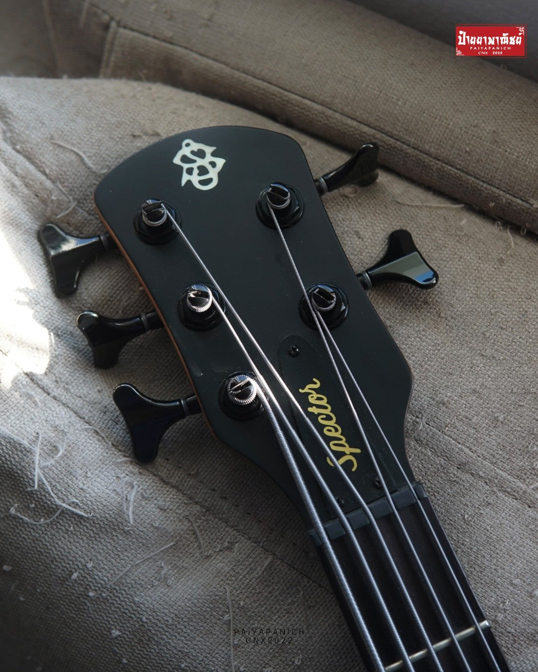 (Used) Spector NS Pulse ll 5 - Black Stain Matte