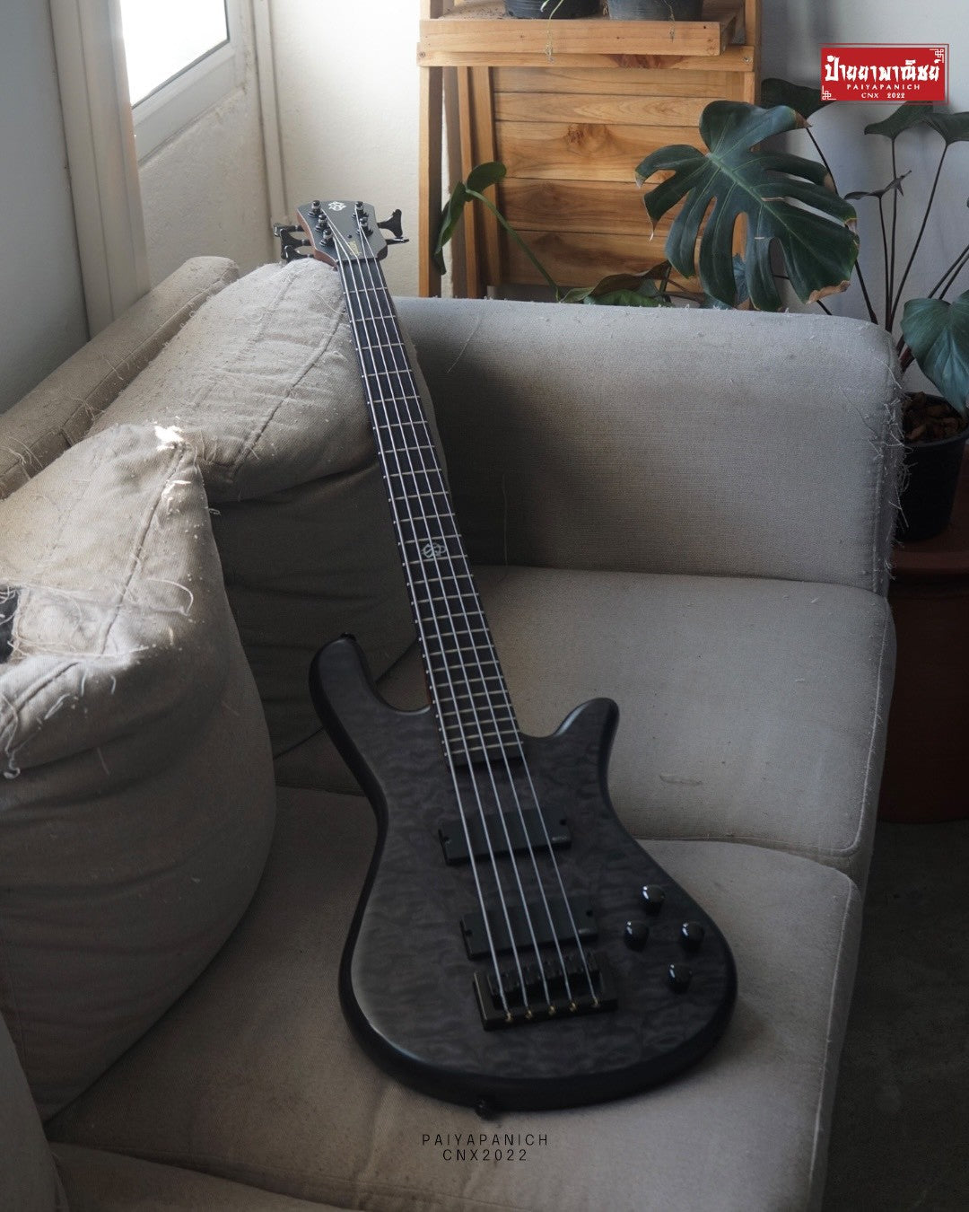 (Used) Spector NS Pulse ll 5 - Black Stain Matte