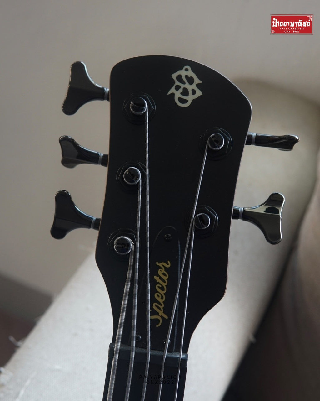 (Used) Spector NS Pulse ll 5 - Black Stain Matte