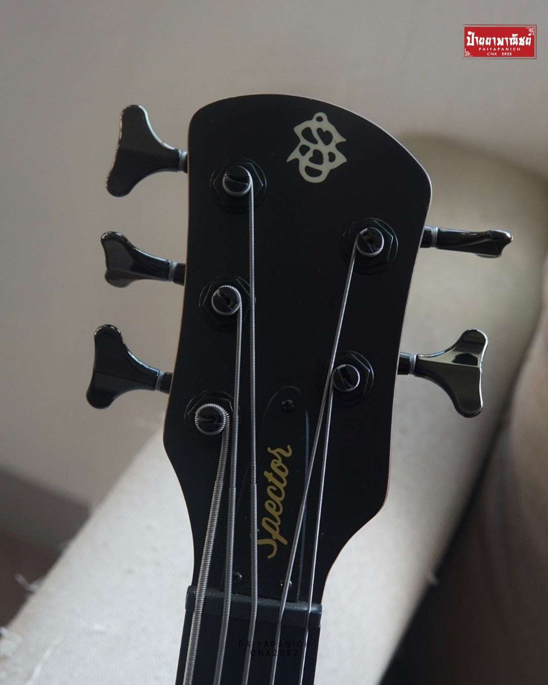 (Used) Spector NS Pulse ll 5 - Black Stain Matte