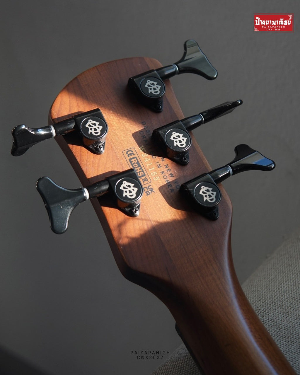 (Used) Spector NS Pulse ll 5 - Black Stain Matte