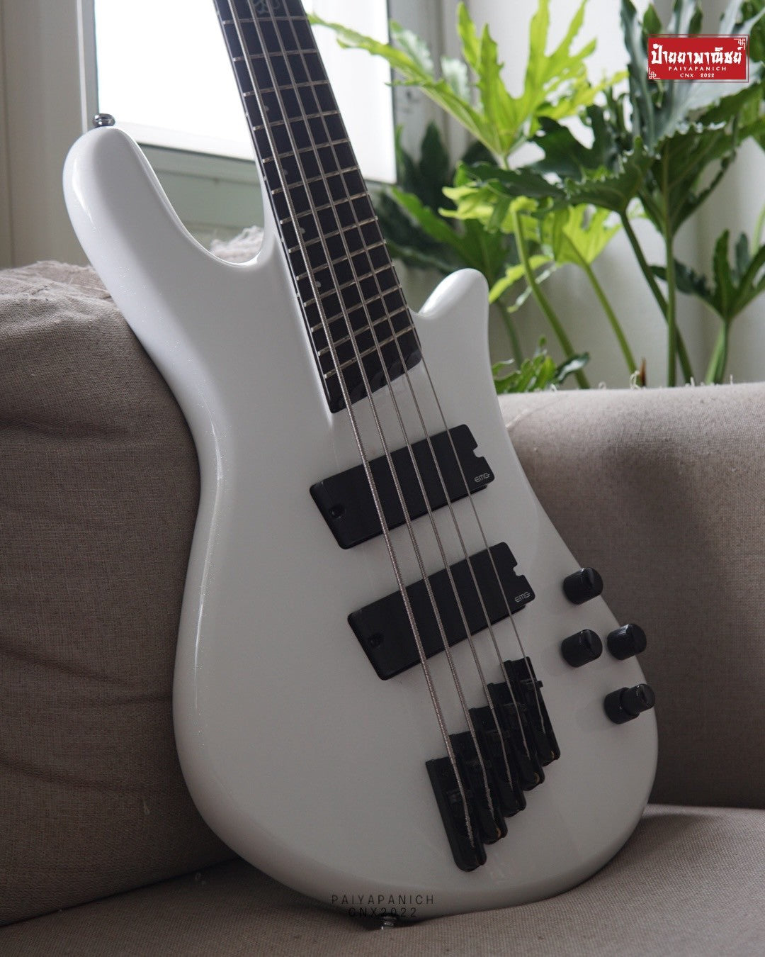 (USED) Spector NS Dimension HP 5 White Sparkle Gloss
