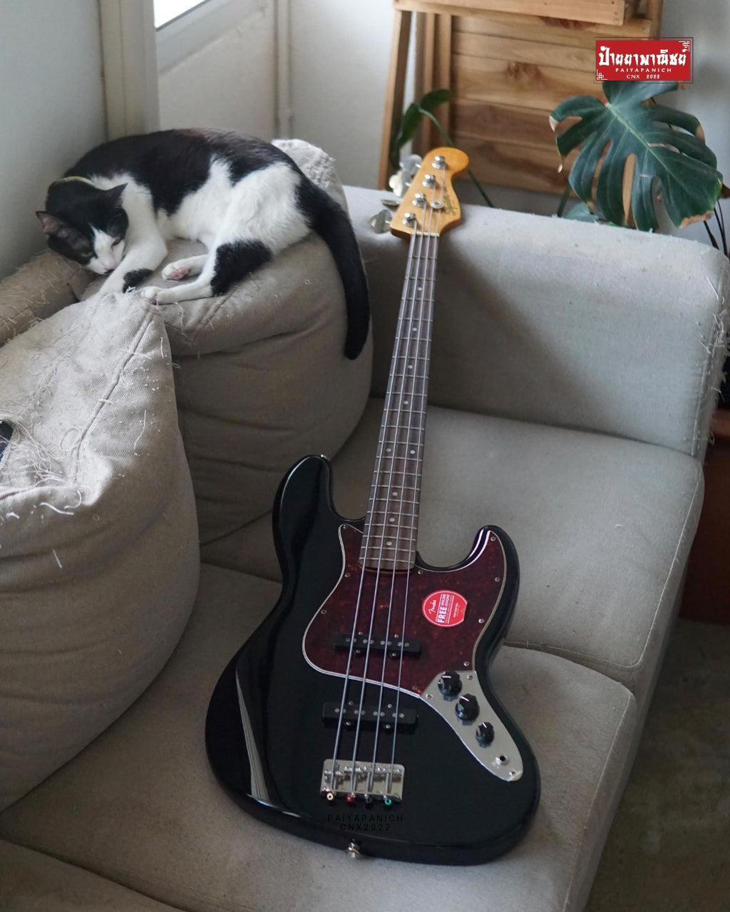 (Used) Squier Classic Vibe '60s Jazz Bass Black