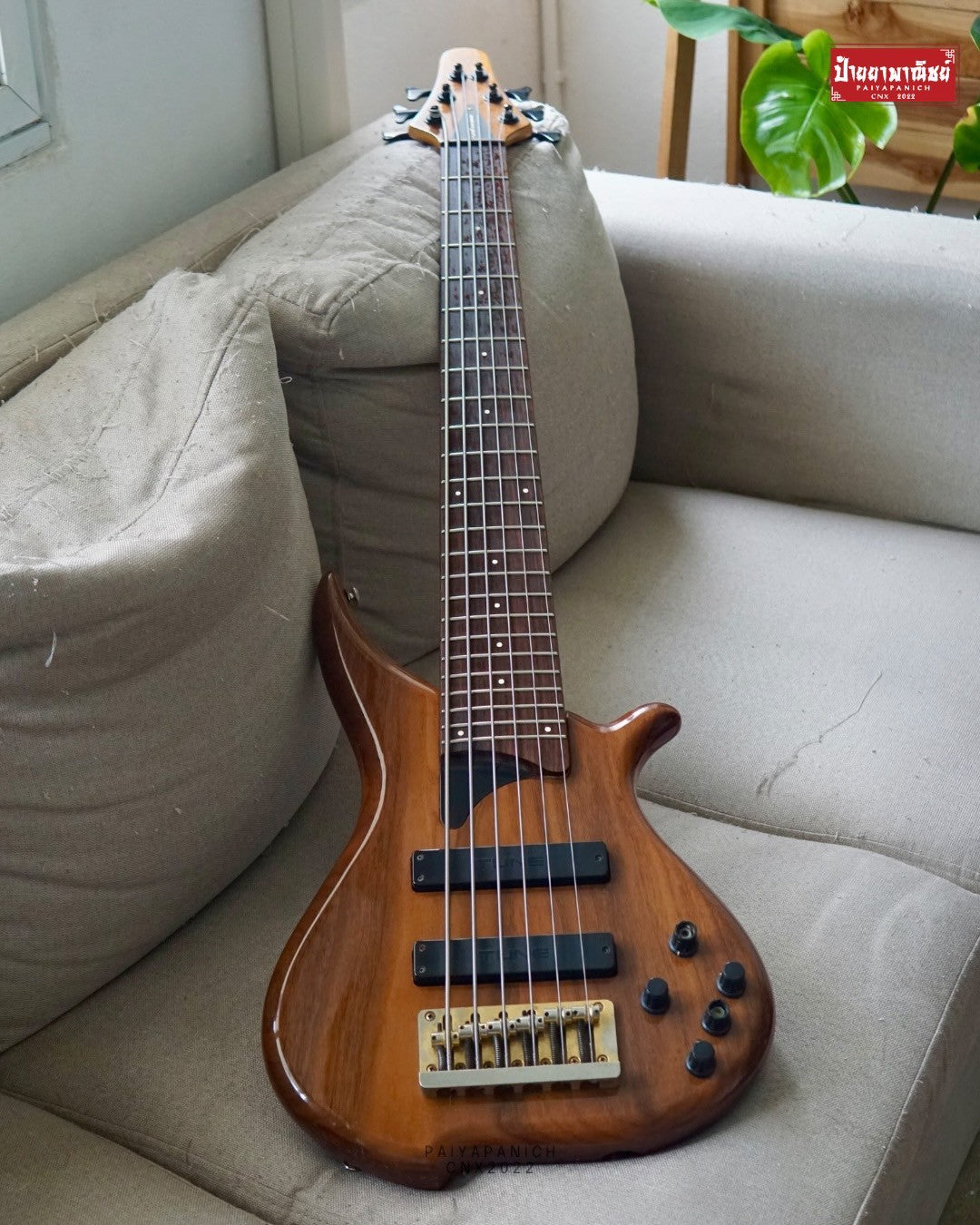 (USED) Tune TWB-6 WN