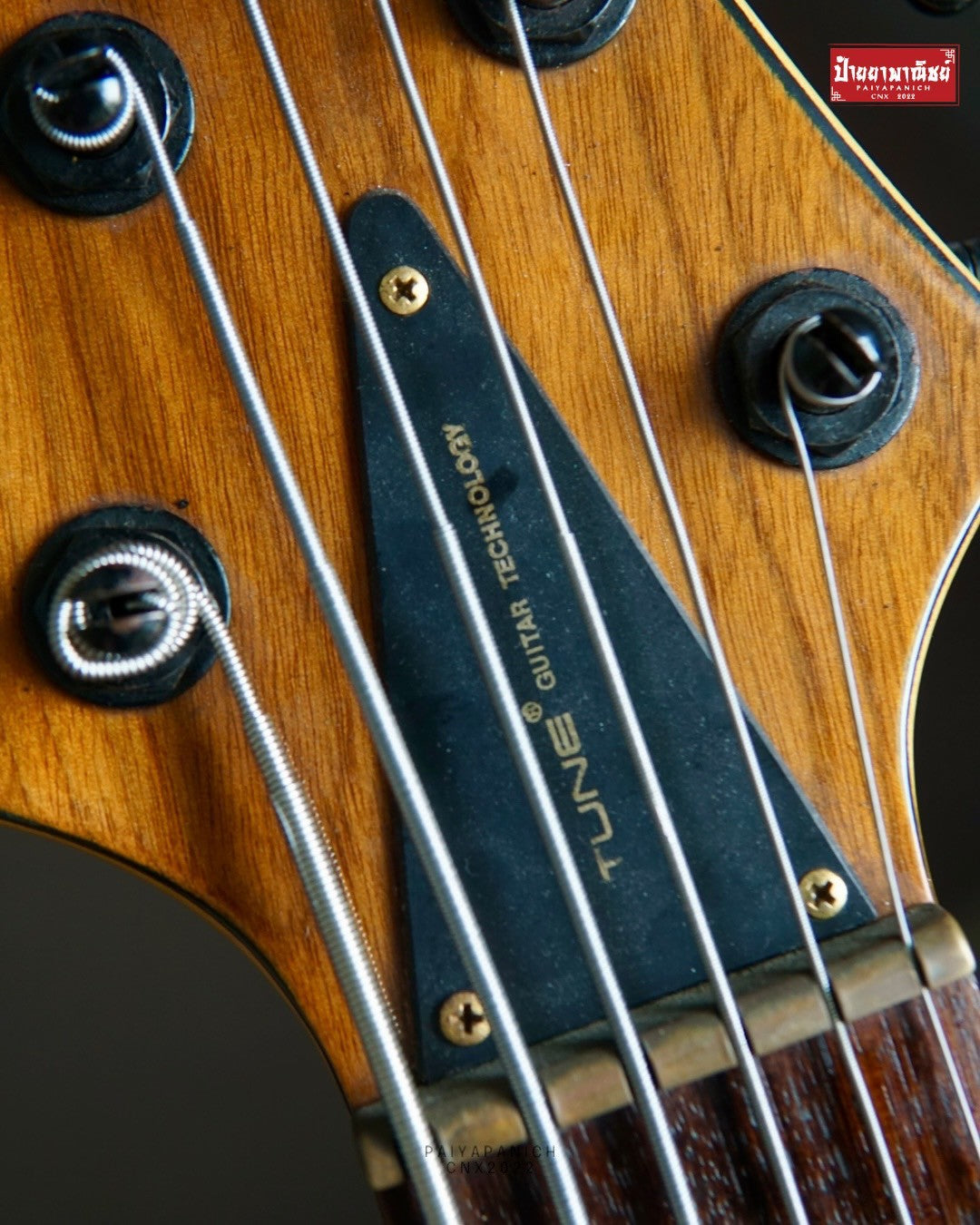 (USED) Tune TWB-6 WN