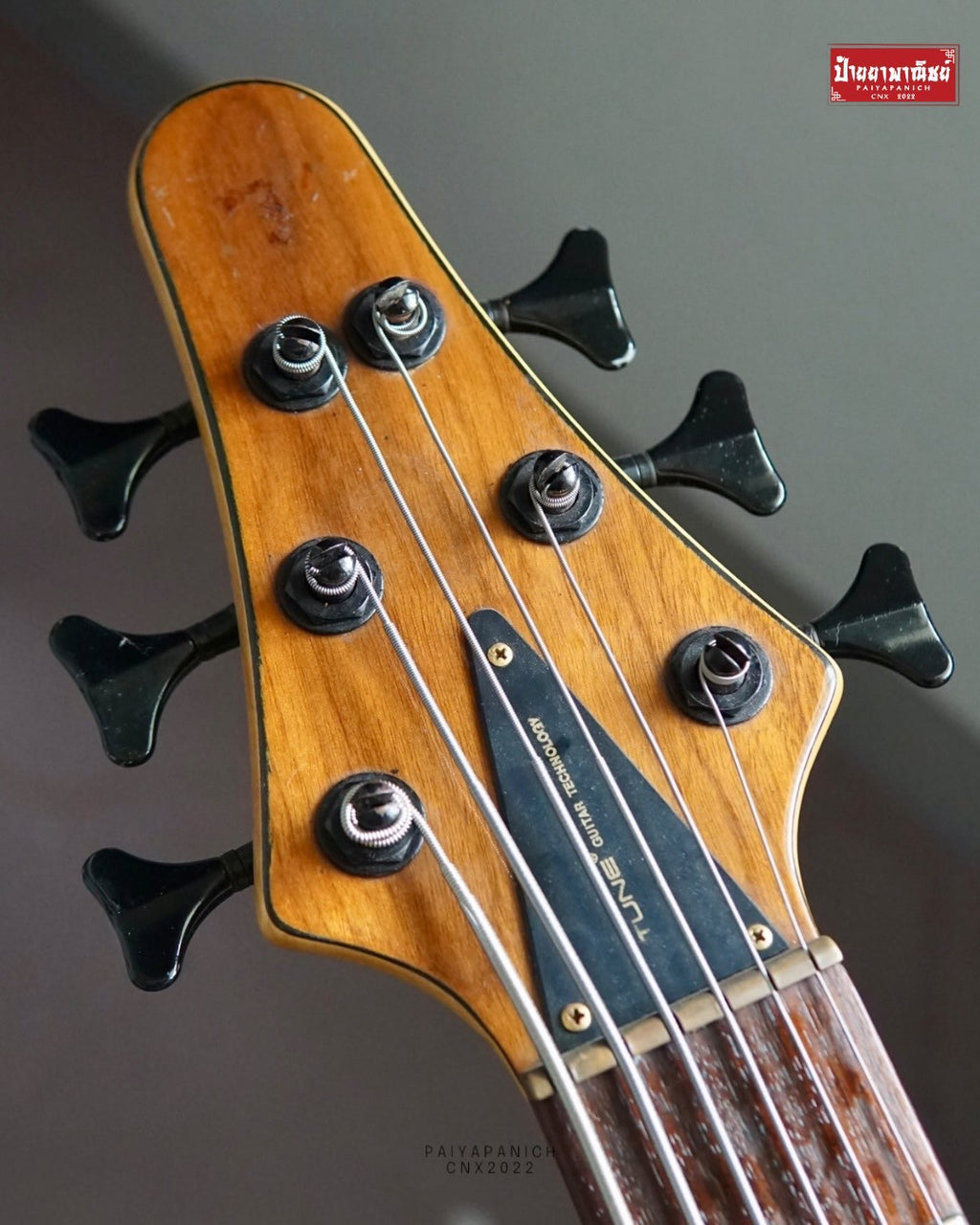 (USED) Tune TWB-6 WN