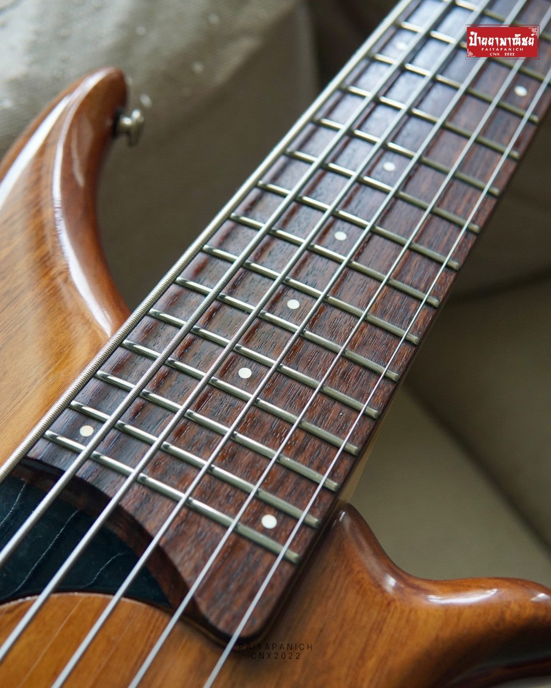 (USED) Tune TWB-6 WN