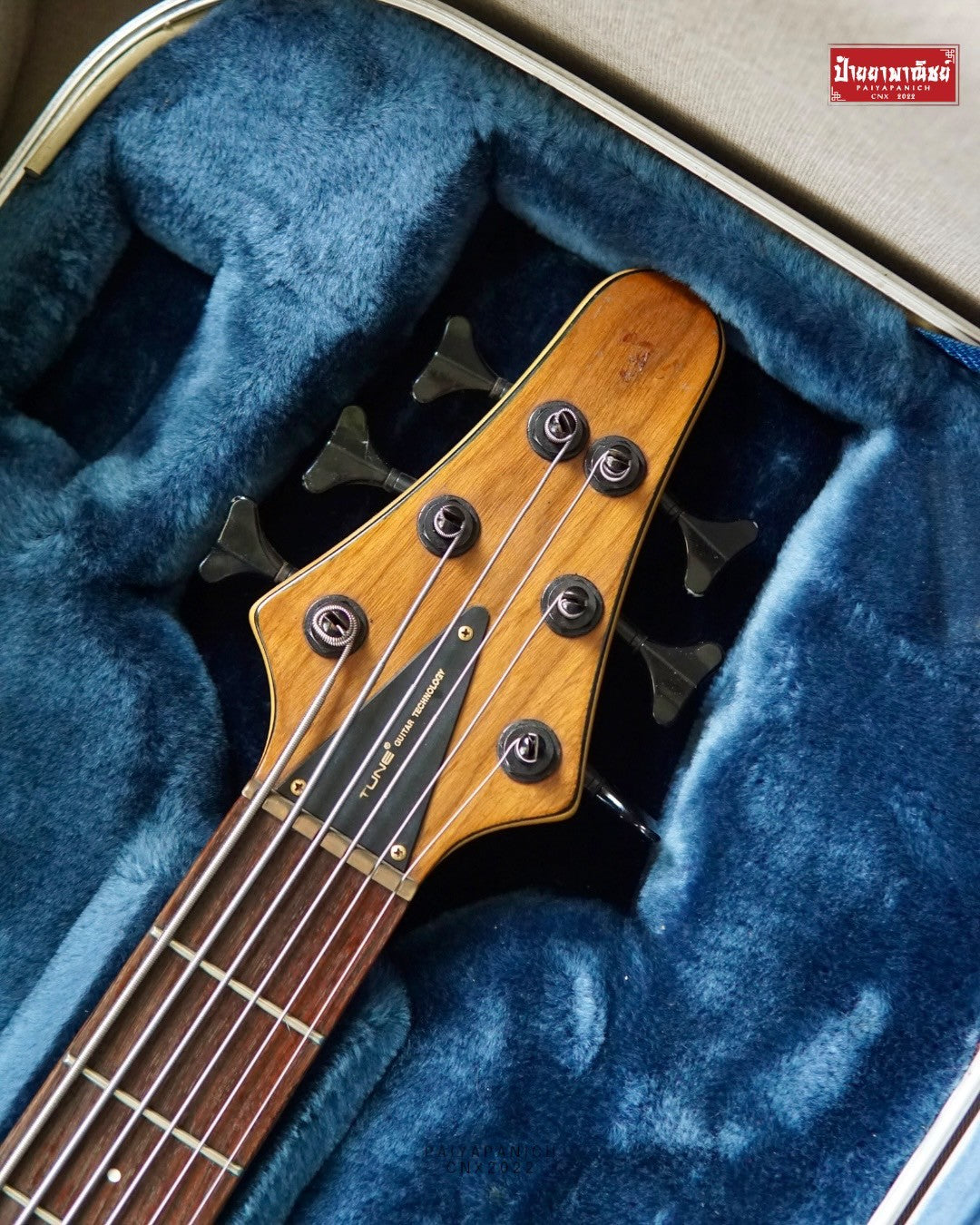 (USED) Tune TWB-6 WN